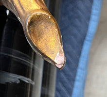 Load image into Gallery viewer, Vintage Gilded Gold Mirror - Oval Vertical Hang