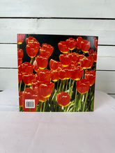 Load image into Gallery viewer, An Eye for Beauty by Evelyn Lauder