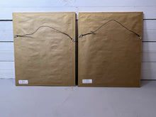 Load image into Gallery viewer, Framed Aloe in Decorative Pots - Botanical Prints - Set of Two