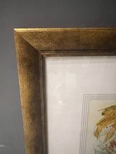 Load image into Gallery viewer, Framed Watercolor by R.G. Serrano, 2010, Original