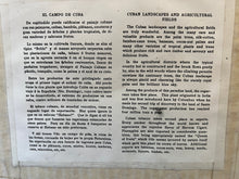 Load image into Gallery viewer, Photographs of Cuban Landscapes - Agricultural Fields of the 1950s