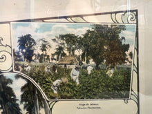 Load image into Gallery viewer, Photographs of Cuban Landscapes - Agricultural Fields of the 1950s