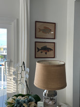 Load image into Gallery viewer, Vintage Fish Prints - Sold Separately - Choose Variations Below