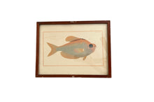 Load image into Gallery viewer, Vintage Fish Prints - Sold Separately - Choose Variations Below