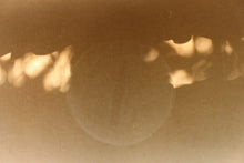 Load image into Gallery viewer, Antique Italian Carved Walnut Upholstered Bench, c. late 1800s
