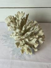 Load image into Gallery viewer, Decorative Faux White Coral Cluster
