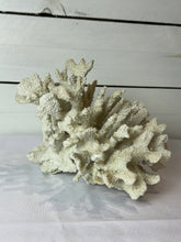 Load image into Gallery viewer, Decorative Faux White Coral Cluster
