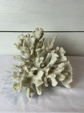 Load image into Gallery viewer, Decorative Faux White Coral Cluster
