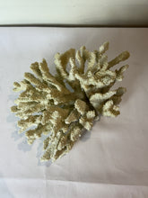 Load image into Gallery viewer, Decorative Faux White Coral Cluster
