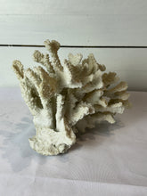 Load image into Gallery viewer, Decorative Faux White Coral Cluster
