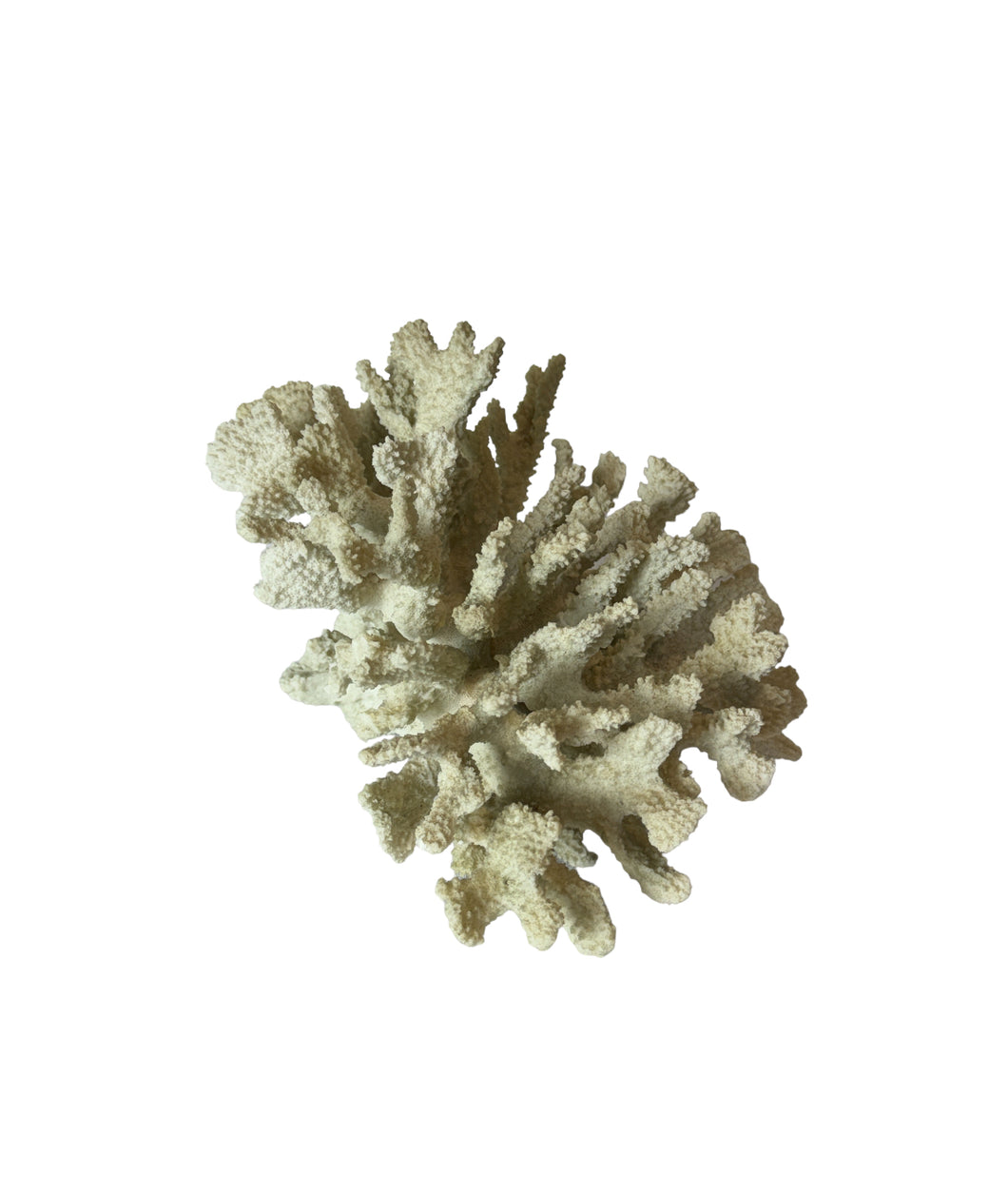 Decorative Faux White Coral Cluster