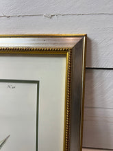 Load image into Gallery viewer, Framed Aloe in Decorative Pots - Botanical Prints - Set of Two

